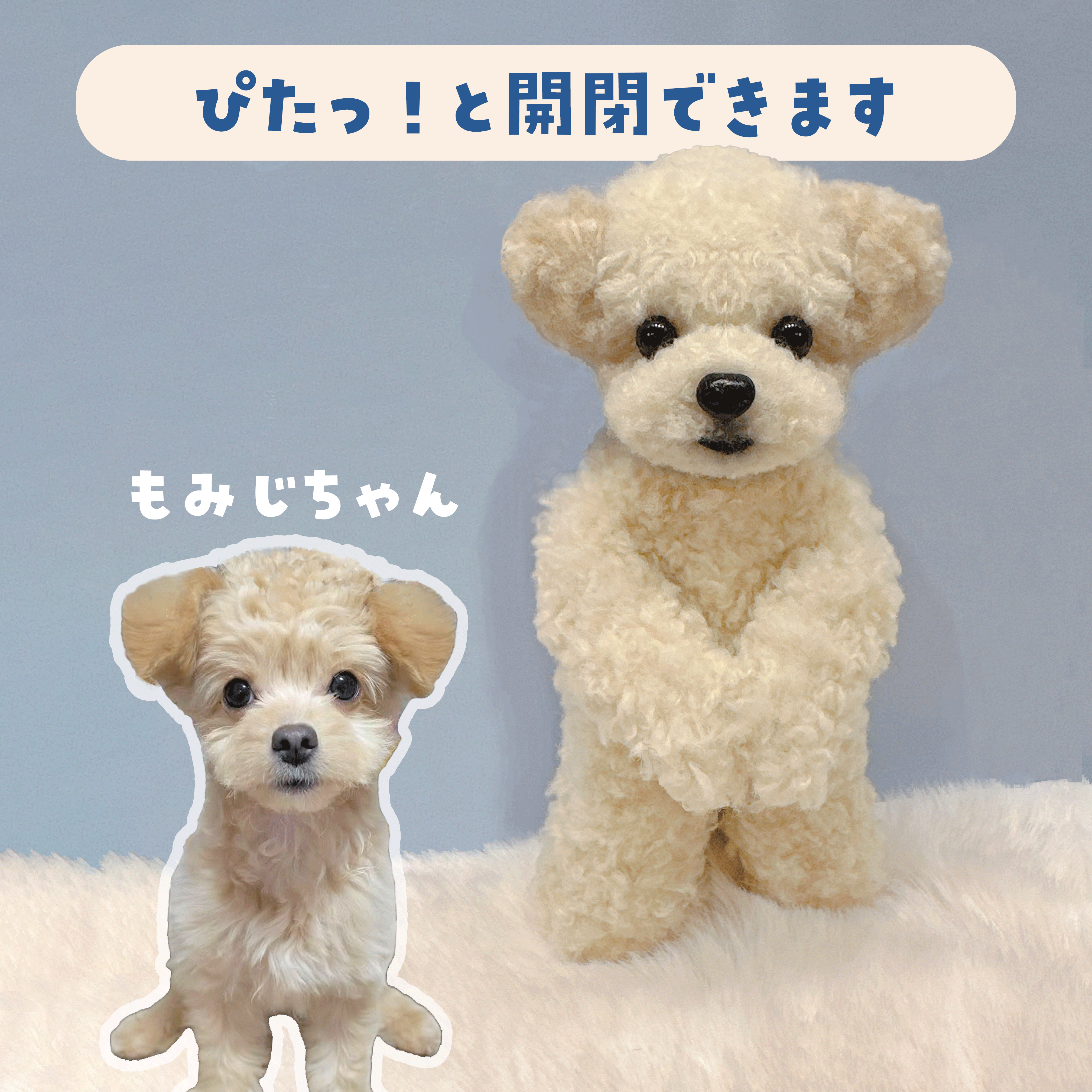 Custom-made Pawtner Mini Plushie: Toy Poodle & Bichon Frise