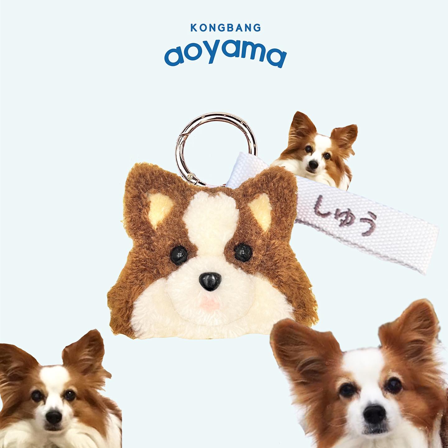 パピヨン No,1