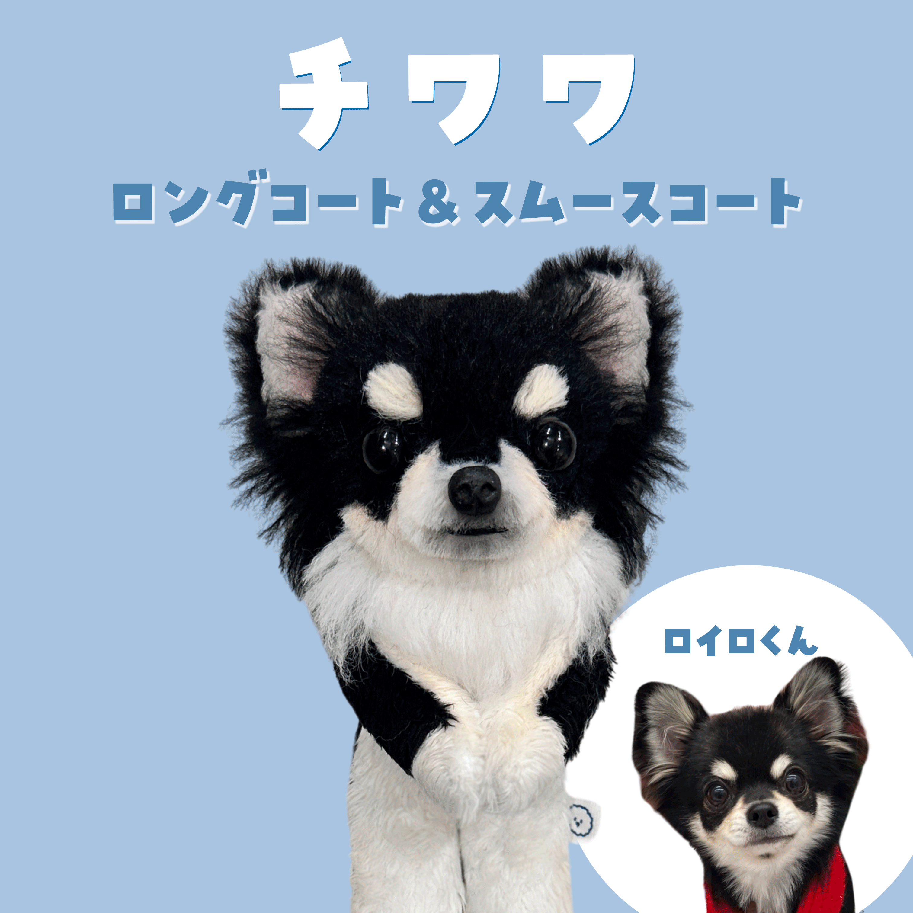 うちの子ぬいぐるみ カスタムメイド チワワ