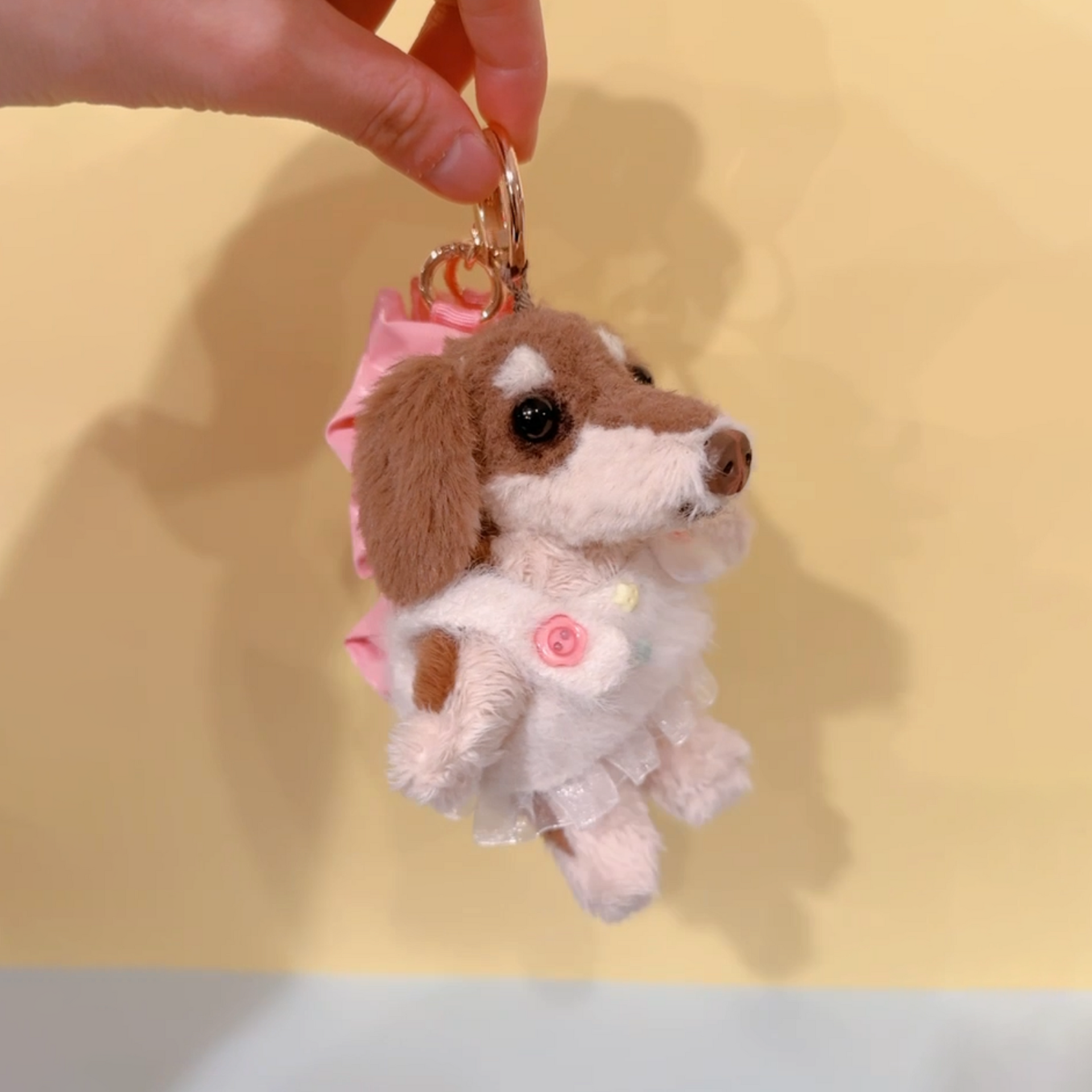 青山コンバン】ぬいぐるみ ダックスさん ワークショップ予約 | タフ