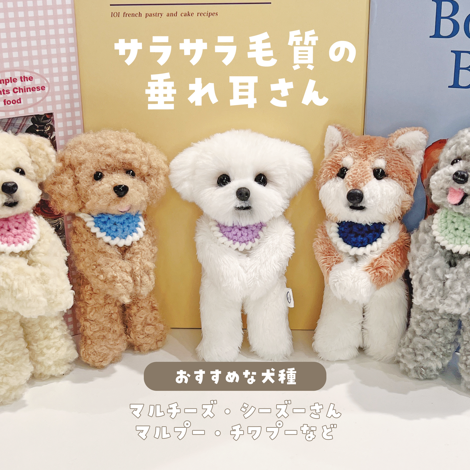 青山コンバン】ぬいぐるみ マルチーズ系 ワークショップ予約 | タフ