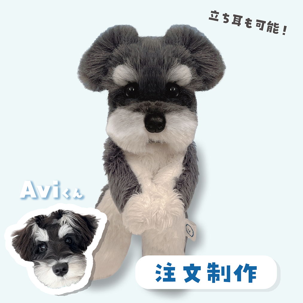うちの子ぬいぐるみ カスタムメイド シュナ