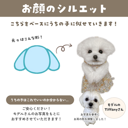 うちの子ぬいぐるみ カスタムメイド マルチーズ・シーズー系