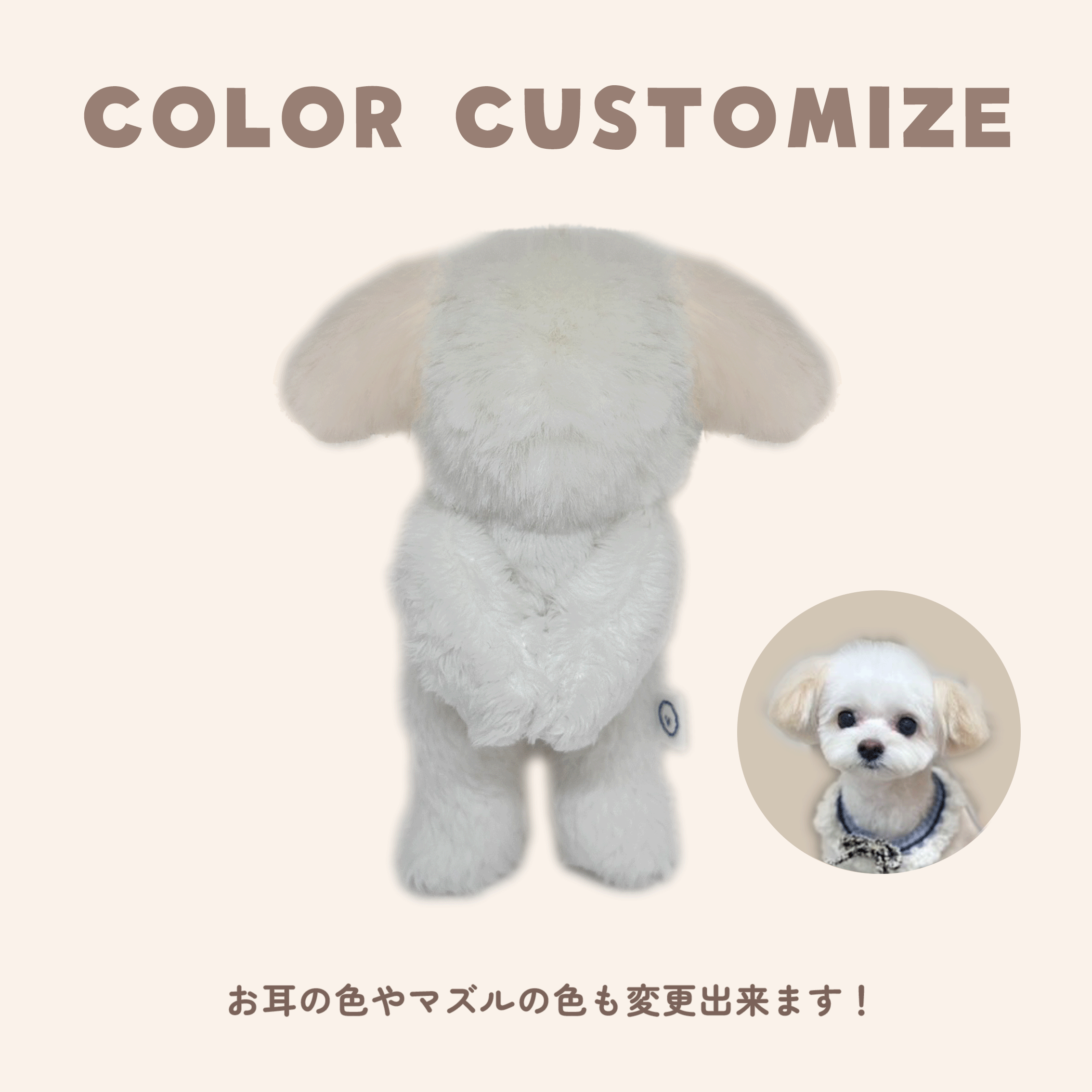 青山コンバン】ぬいぐるみ マルチーズ系 ワークショップ予約 | タフ