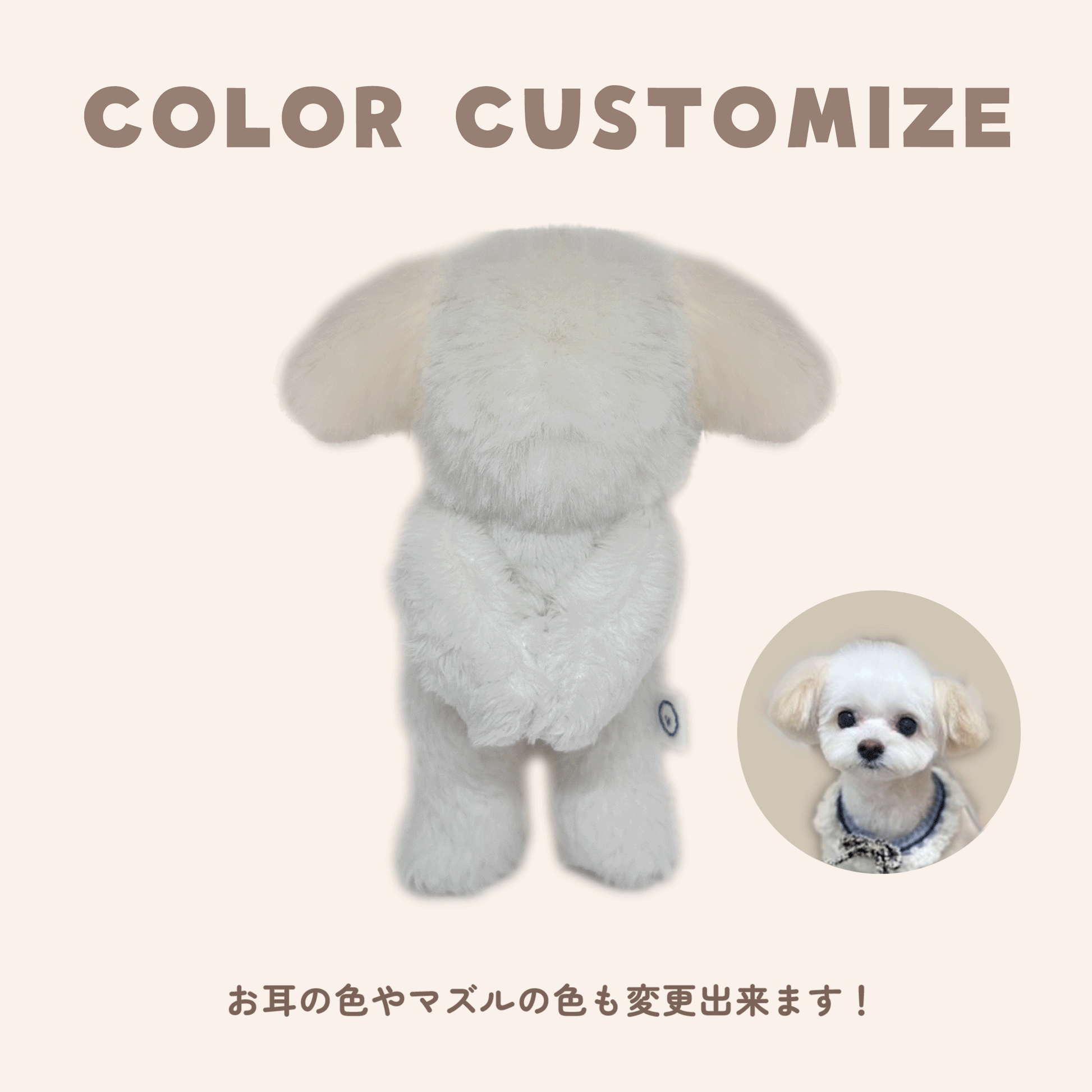 青山コンバン】うちの子ぬいぐるみ カスタムメイド マルチーズ