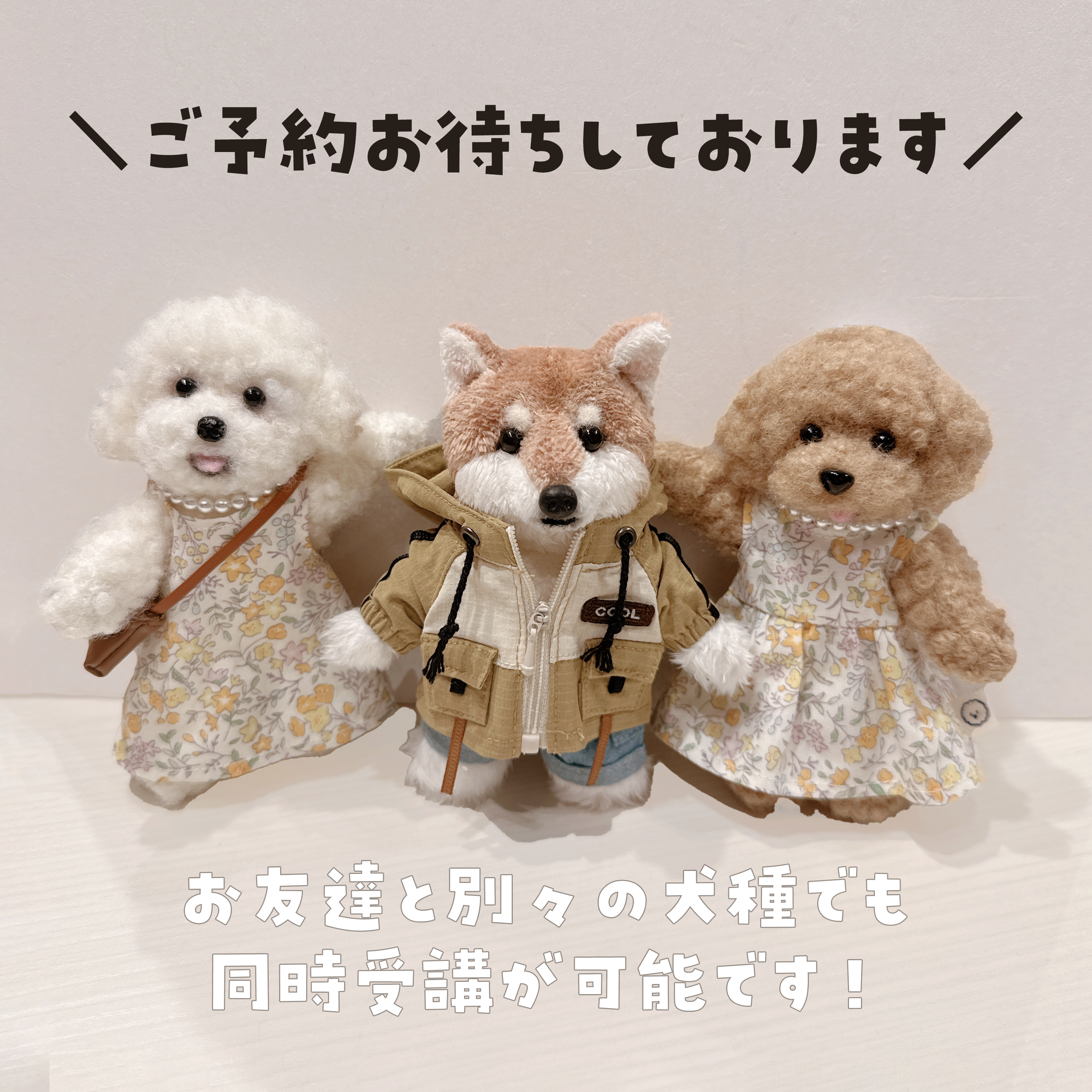 青山コンバン】ぬいぐるみ マルチーズ系 ワークショップ予約 | タフ